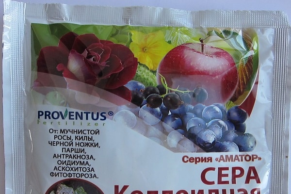 употреба сумпора