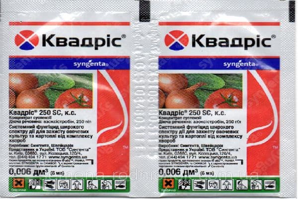 дрога куадрис