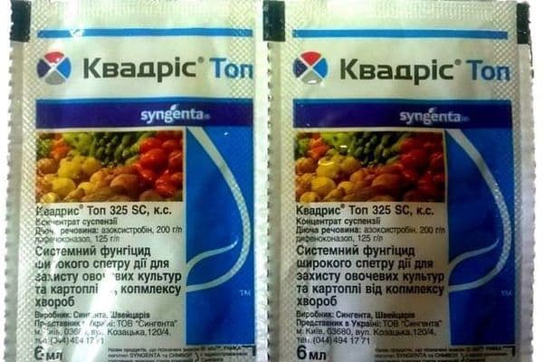 куадрис лек за гљивице