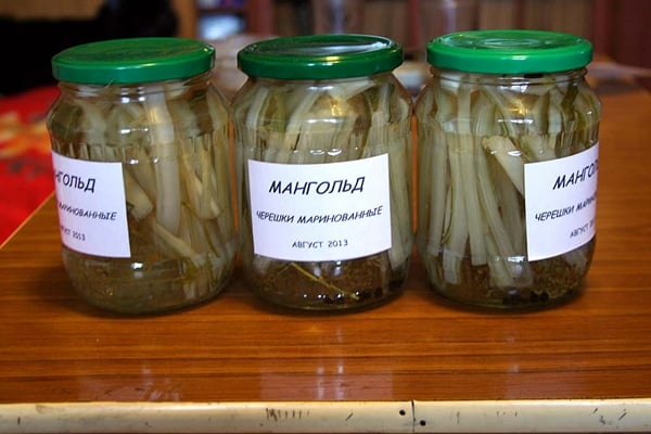 перени од маринираног блитва