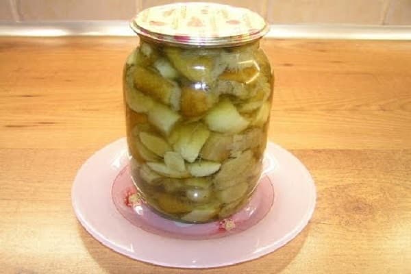פטריית פורצ'יני