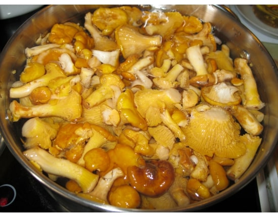 kokta kantareller