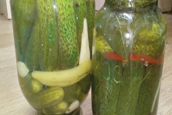 ปฏิบัติตามกฎทั้งหมด