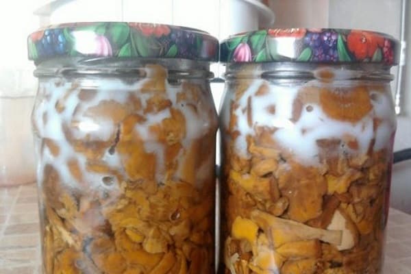 cogumelos fritos