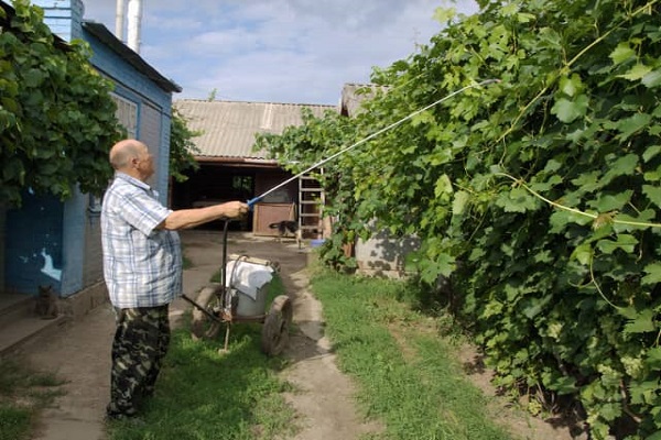 по реда
