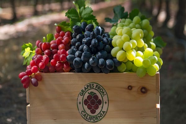 eating fruit