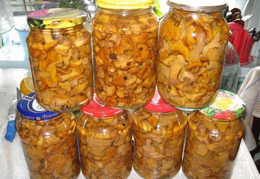 Rigaer Pilze