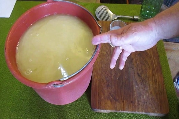 mustard powder