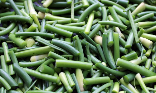 arrows of garlic