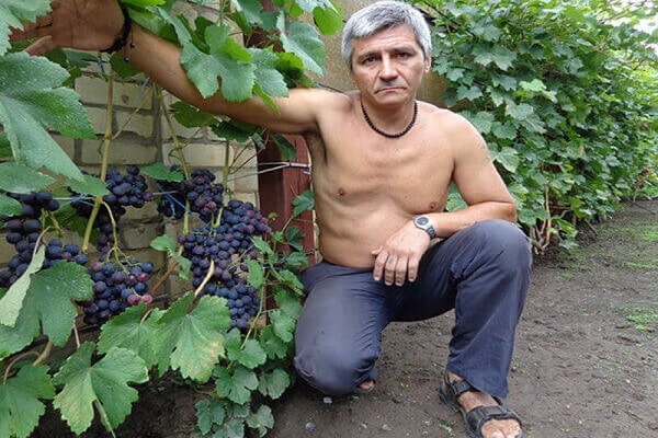 Weinbauexperte