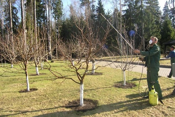 сезонска обрада