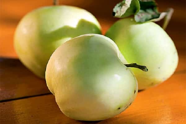 Die Häufigkeit der Fruchtbildung