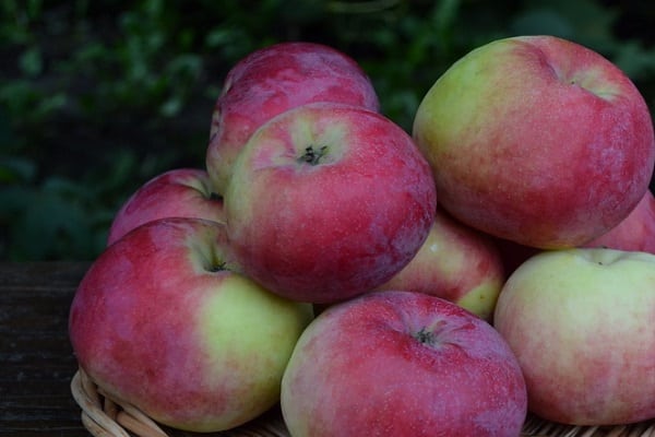 harvested crop