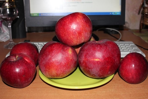 fruit on the table