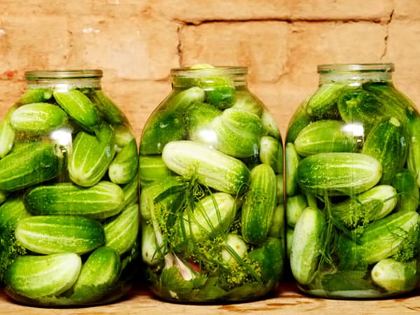 cucumbers with herbs and garlic in jars