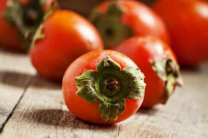 frische Persimone