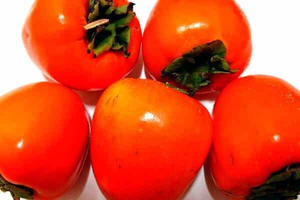 frische Persimone