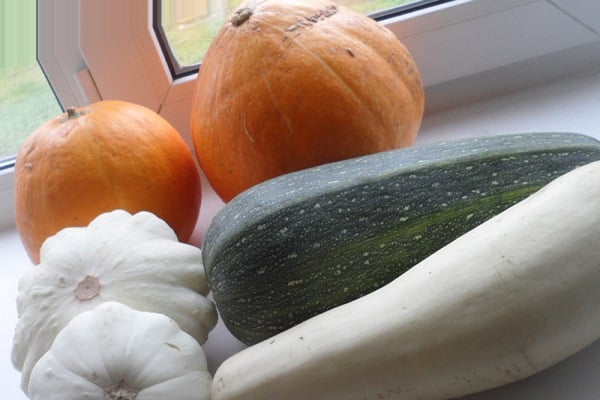 pumpkins and squash