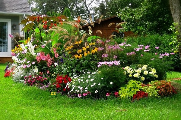 flower bed