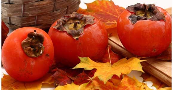 frische Persimone