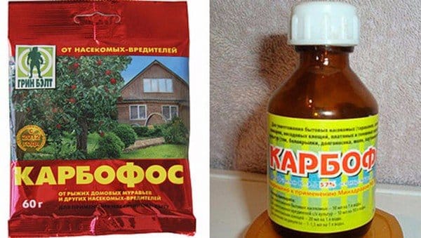 Droga Karbofos