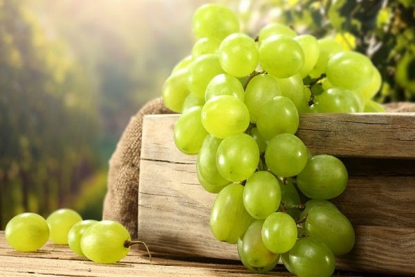mogna frukter