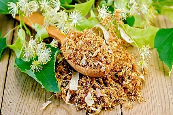 dry linden