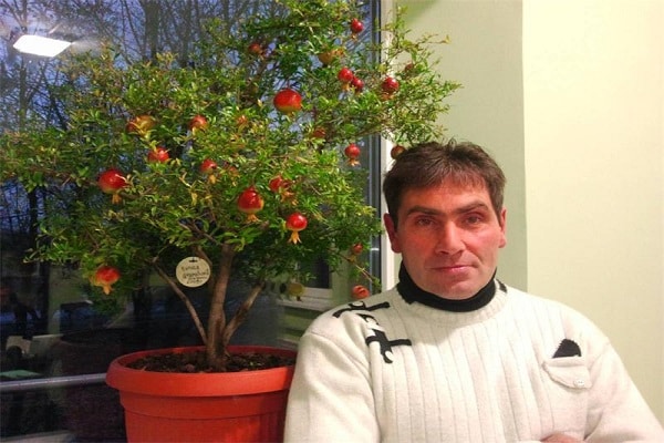 Pflege Regeln