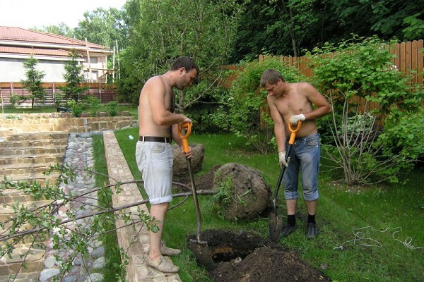 vyrai kasti