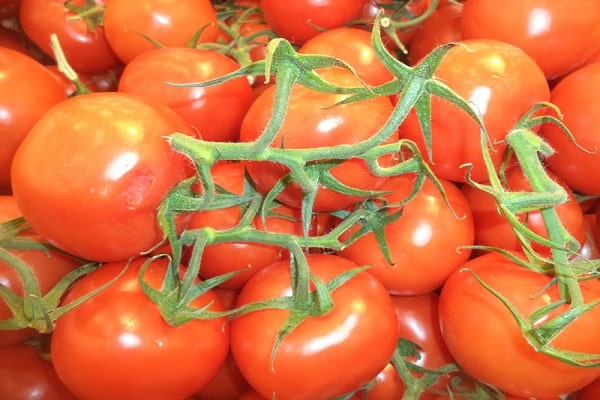 juicy tomatoes