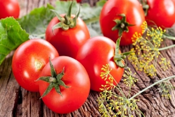 standard tomatoes