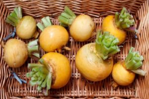 Rübensorten: Eine detaillierte Beschreibung der 25 besten und ...