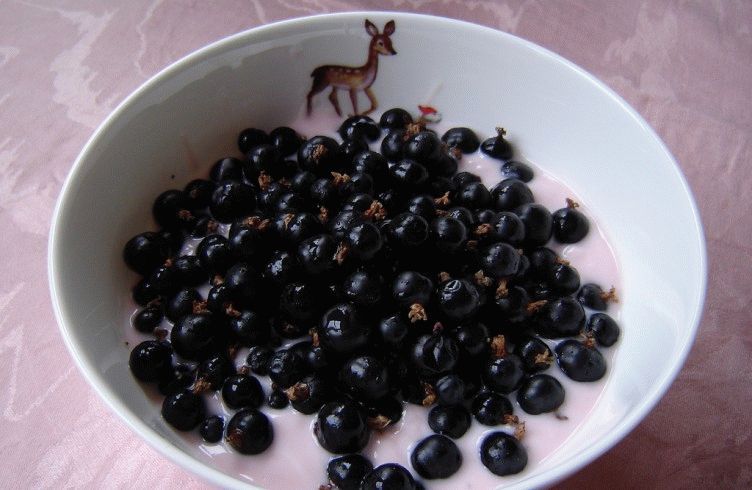 black currant