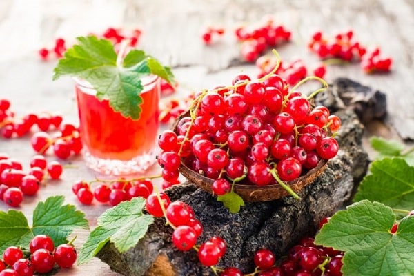 boiled compote