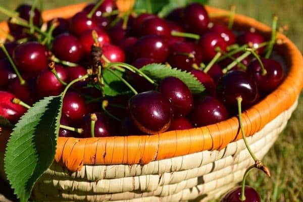Korb mit Beeren