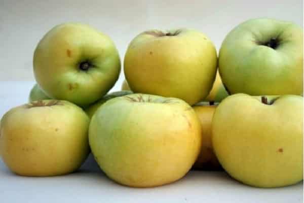 fragrant fruit
