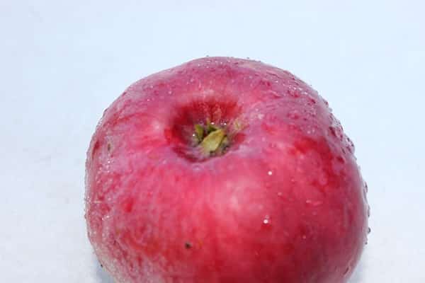frutas molhadas