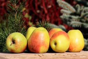 Description of apple variety Rossoshanskoe Vkusnoe (Amazing), cultivation and care