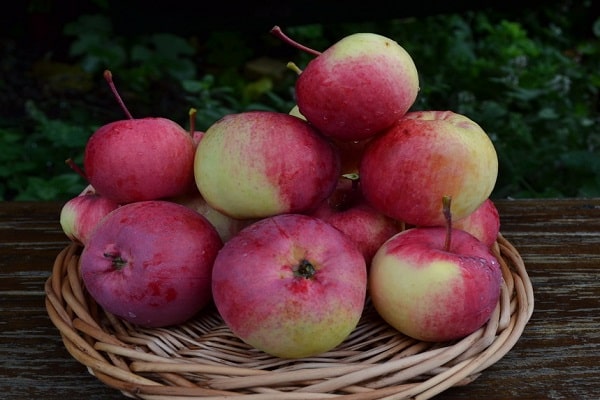 fruits dans un panier