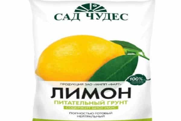 Stebuklų sodas
