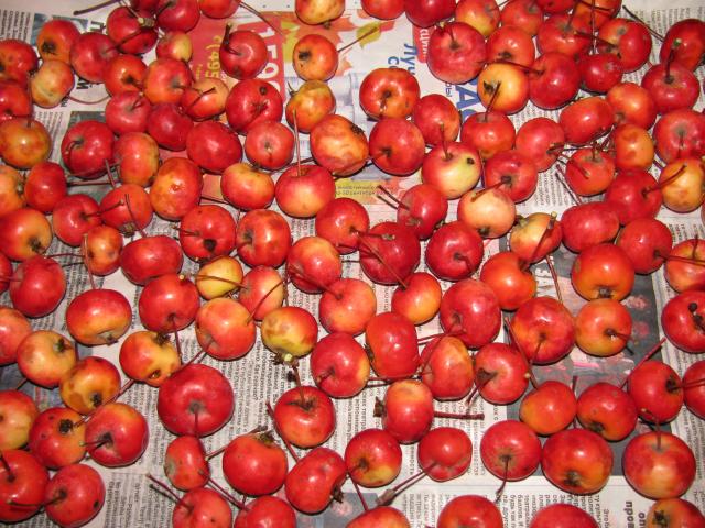himmlischer Apfel