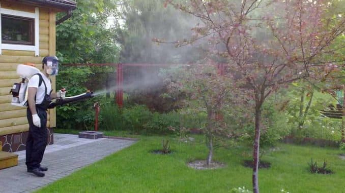 den Apfelbaum bestreuen