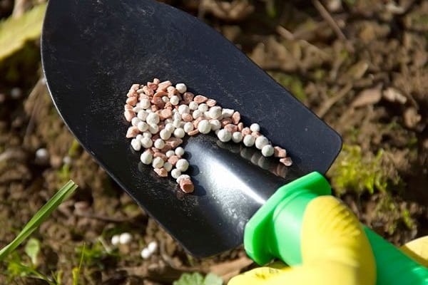 pellets de pá