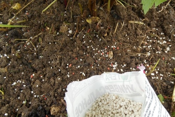 propagação de fertilizante