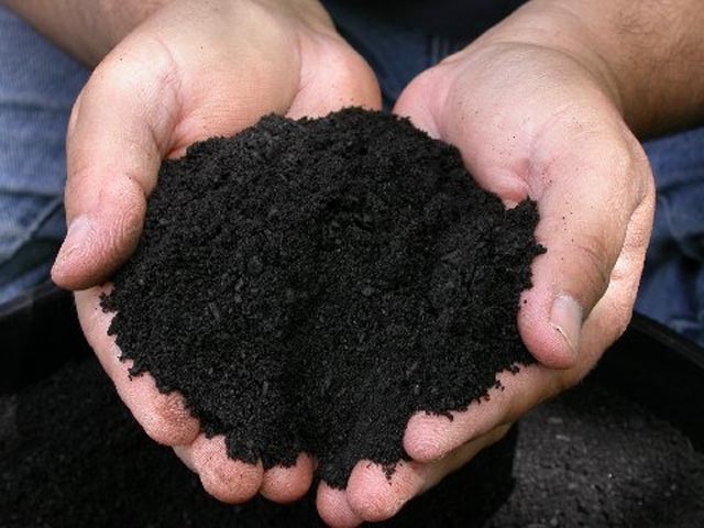 tierra negra en las manos