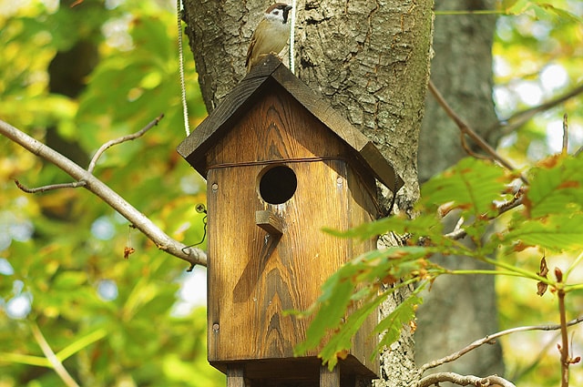 Vogelhäuschen für Vögel,