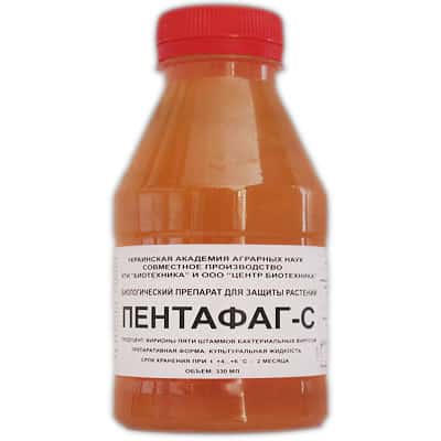 Droge Pentafag