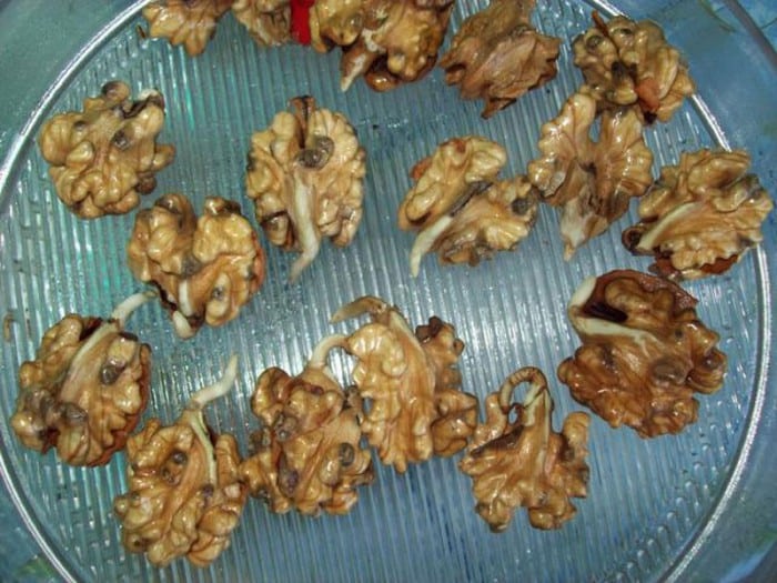 كيف نزرع الجوز