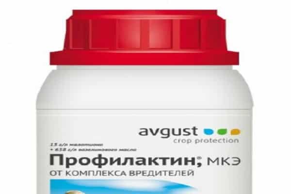 Профилактин ФЕМ