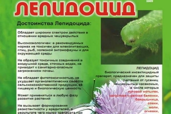 изложеност лековима